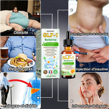 Développé cliniquement par des experts de la santé renommés en France🇫🇷💥 | BuildLeaf® Gouttes Herborisées GLP-1 à la berbérine et au moringa (Formule Française)