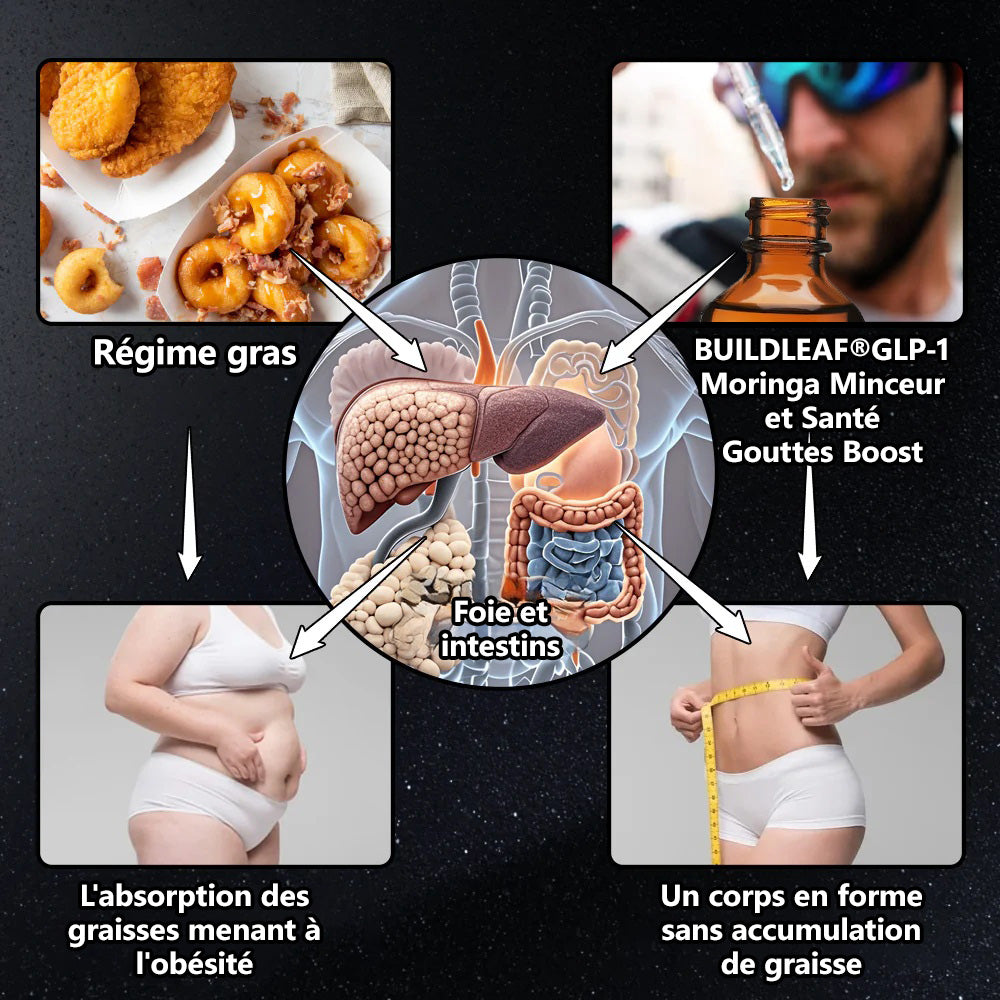 Développé cliniquement par des experts de la santé renommés en France🇫🇷💥 | BuildLeaf® Gouttes Herborisées GLP-1 à la berbérine et au moringa (Formule Française)