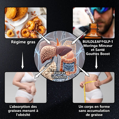 Développé cliniquement par des experts de la santé renommés en France🇫🇷💥 | BuildLeaf® Gouttes Herborisées GLP-1 à la berbérine et au moringa (Formule Française)