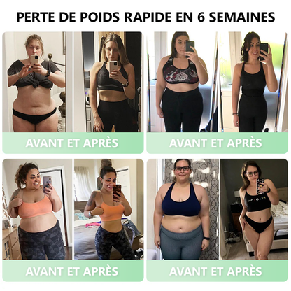 Développé cliniquement par des experts de la santé renommés en France🇫🇷💥 | BuildLeaf® Gouttes Herborisées GLP-1 à la berbérine et au moringa (Formule Française)