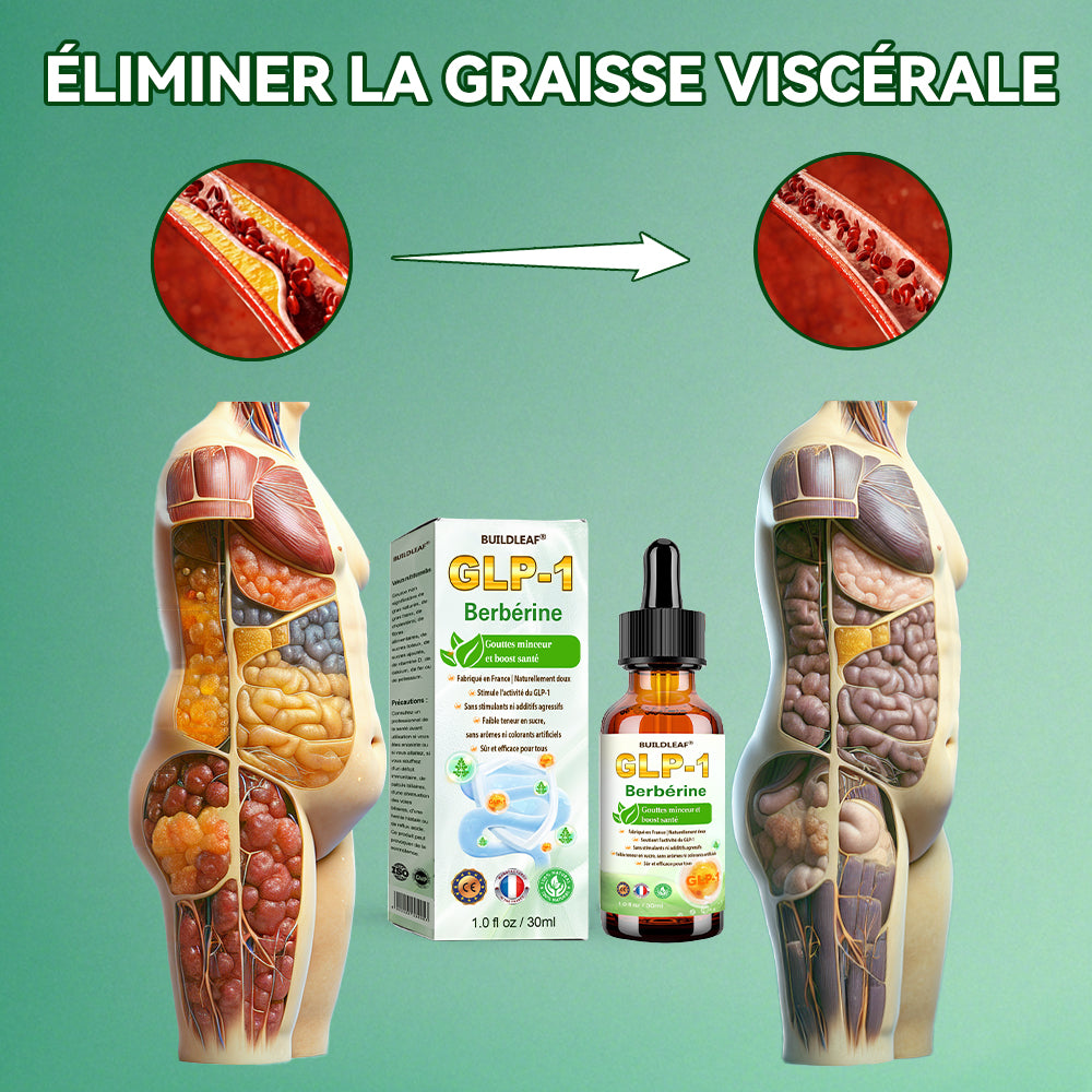 Développé cliniquement par des experts de la santé renommés en France🇫🇷💥 | BuildLeaf® Gouttes Herborisées GLP-1 à la berbérine et au moringa (Formule Française)